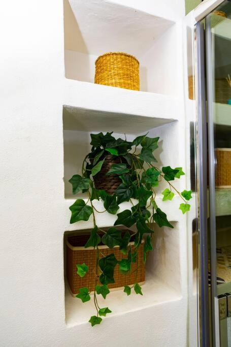 Canonica Attic Apartment Milano Dış mekan fotoğraf